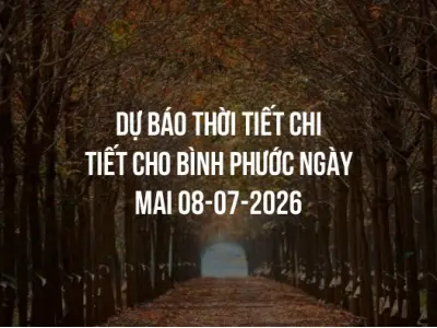 Dự báo thời tiết chi tiết cho Bình Phước ngày mai 08-07-2026