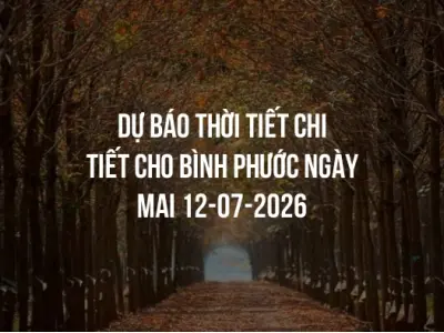 Dự báo thời tiết chi tiết cho Bình Phước ngày mai 12-07-2026