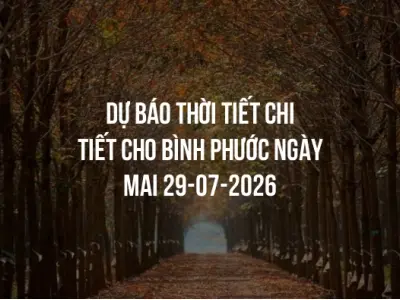 Dự báo thời tiết chi tiết cho Bình Phước ngày mai 29-07-2026