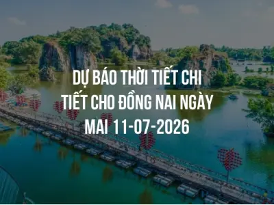 Dự báo thời tiết chi tiết cho Đồng Nai ngày mai 11-07-2026
