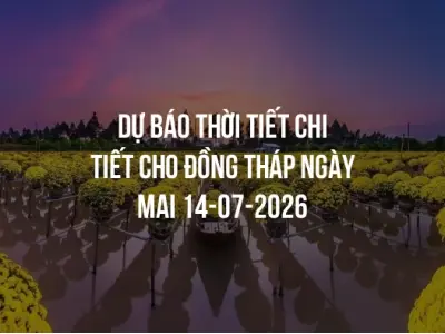 Dự báo thời tiết chi tiết cho Đồng Tháp ngày mai 14-07-2026