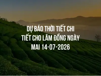 Dự báo thời tiết chi tiết cho Lâm Đồng ngày mai 14-07-2026