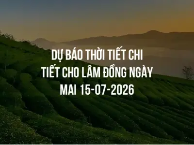 Dự báo thời tiết chi tiết cho Lâm Đồng ngày mai 15-07-2026