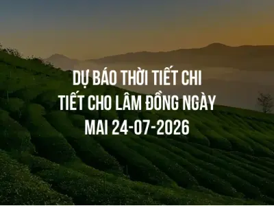 Dự báo thời tiết chi tiết cho Lâm Đồng ngày mai 24-07-2026
