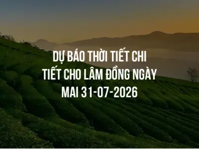 Dự báo thời tiết chi tiết cho Lâm Đồng ngày mai 31-07-2026