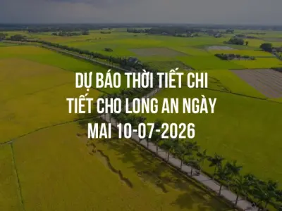 Dự báo thời tiết chi tiết cho Long An ngày mai 10-07-2026