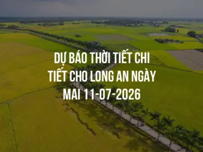 Dự báo thời tiết chi tiết cho Long An ngày mai 11-07-2026