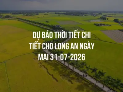 Dự báo thời tiết chi tiết cho Long An ngày mai 31-07-2026