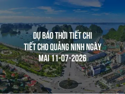 Dự báo thời tiết chi tiết cho Quảng Ninh ngày mai 11-07-2026