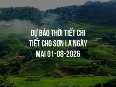 Dự báo thời tiết chi tiết cho Sơn La ngày mai 01-08-2026