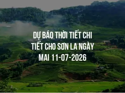 Dự báo thời tiết chi tiết cho Sơn La ngày mai 11-07-2026