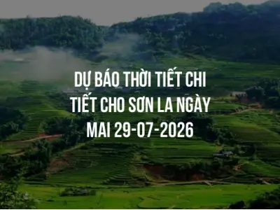 Dự báo thời tiết chi tiết cho Sơn La ngày mai 29-07-2026