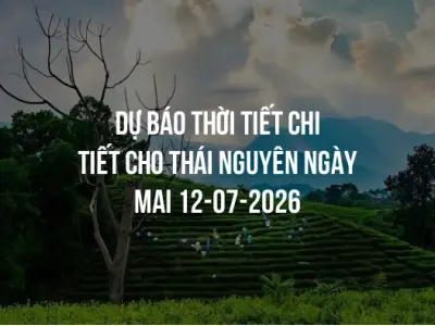 Dự báo thời tiết chi tiết cho Thái Nguyên ngày mai 12-07-2026
