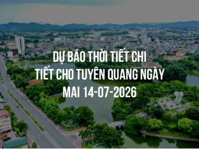Dự báo thời tiết chi tiết cho Tuyên Quang ngày mai 14-07-2026