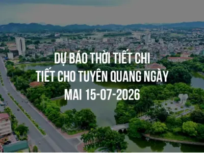 Dự báo thời tiết chi tiết cho Tuyên Quang ngày mai 15-07-2026