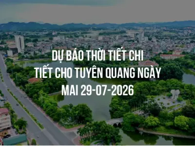 Dự báo thời tiết chi tiết cho Tuyên Quang ngày mai 29-07-2026