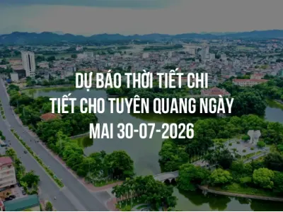 Dự báo thời tiết chi tiết cho Tuyên Quang ngày mai 30-07-2026