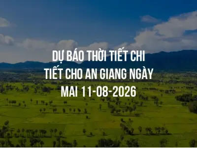 Dự báo thời tiết chi tiết cho An Giang ngày mai 11-08-2026