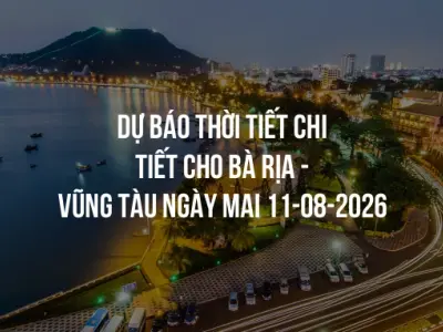 Dự báo thời tiết chi tiết cho Bà Rịa - Vũng Tàu ngày mai 11-08-2026