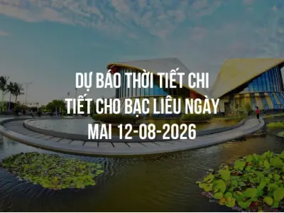 Dự báo thời tiết chi tiết cho Bạc Liêu ngày mai 12-08-2026