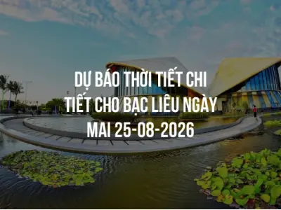 Dự báo thời tiết chi tiết cho Bạc Liêu ngày mai 25-08-2026