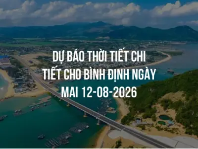 Dự báo thời tiết chi tiết cho Bình Định ngày mai 12-08-2026