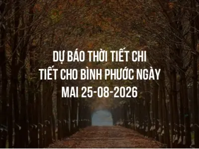 Dự báo thời tiết chi tiết cho Bình Phước ngày mai 25-08-2026