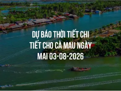 Dự báo thời tiết chi tiết cho Cà Mau ngày mai 03-08-2026