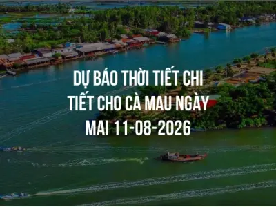 Dự báo thời tiết chi tiết cho Cà Mau ngày mai 11-08-2026