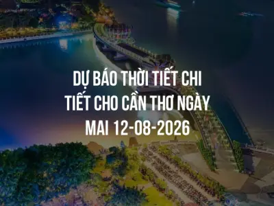 Dự báo thời tiết chi tiết cho Cần Thơ ngày mai 12-08-2026