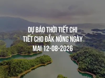 Dự báo thời tiết chi tiết cho Đắk Nông ngày mai 12-08-2026