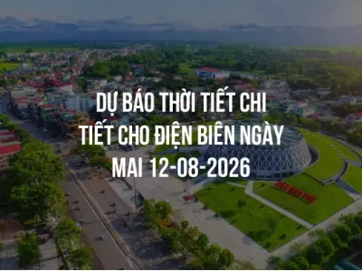 Dự báo thời tiết chi tiết cho Điện Biên ngày mai 12-08-2026