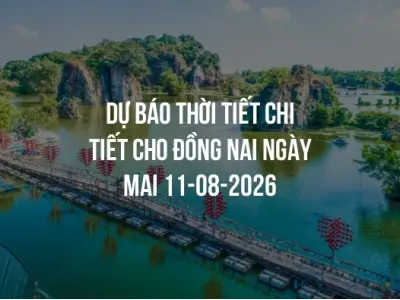Dự báo thời tiết chi tiết cho Đồng Nai ngày mai 11-08-2026