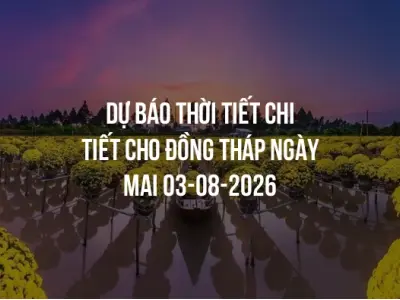 Dự báo thời tiết chi tiết cho Đồng Tháp ngày mai 03-08-2026