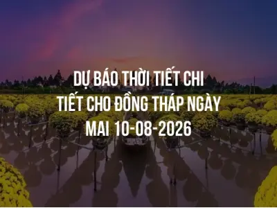 Dự báo thời tiết chi tiết cho Đồng Tháp ngày mai 10-08-2026