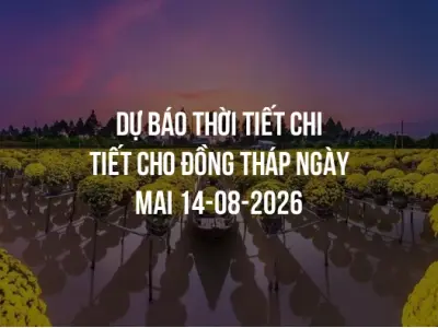 Dự báo thời tiết chi tiết cho Đồng Tháp ngày mai 14-08-2026