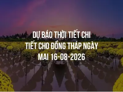 Dự báo thời tiết chi tiết cho Đồng Tháp ngày mai 16-08-2026