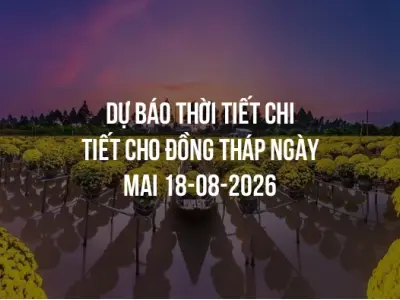Dự báo thời tiết chi tiết cho Đồng Tháp ngày mai 18-08-2026