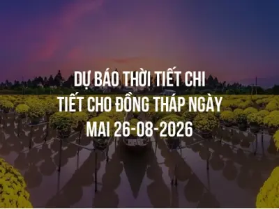 Dự báo thời tiết chi tiết cho Đồng Tháp ngày mai 26-08-2026