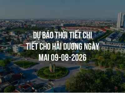 Dự báo thời tiết chi tiết cho Hải Dương ngày mai 09-08-2026