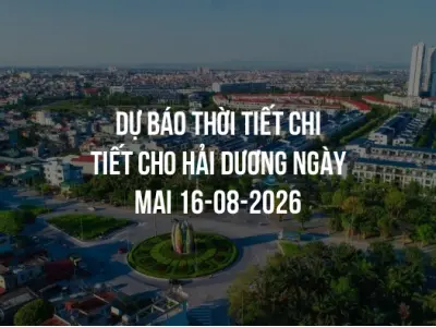 Dự báo thời tiết chi tiết cho Hải Dương ngày mai 16-08-2026