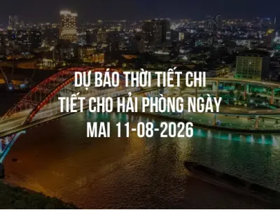 Dự báo thời tiết chi tiết cho Hải Phòng ngày mai 11-08-2026