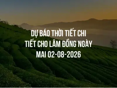 Dự báo thời tiết chi tiết cho Lâm Đồng ngày mai 02-08-2026