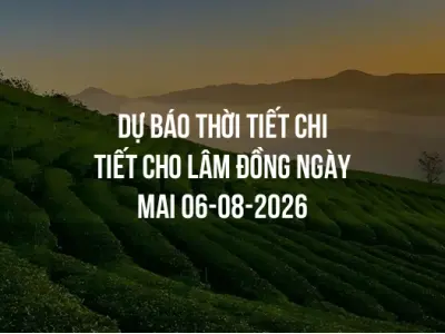 Dự báo thời tiết chi tiết cho Lâm Đồng ngày mai 06-08-2026
