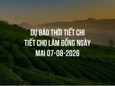 Dự báo thời tiết chi tiết cho Lâm Đồng ngày mai 07-08-2026