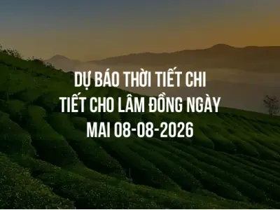 Dự báo thời tiết chi tiết cho Lâm Đồng ngày mai 08-08-2026
