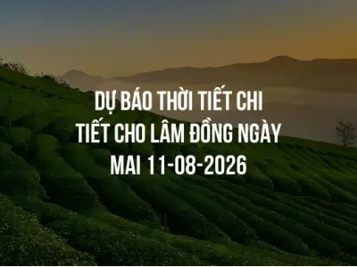 Dự báo thời tiết chi tiết cho Lâm Đồng ngày mai 11-08-2026