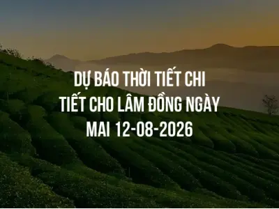 Dự báo thời tiết chi tiết cho Lâm Đồng ngày mai 12-08-2026