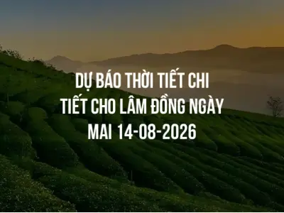Dự báo thời tiết chi tiết cho Lâm Đồng ngày mai 14-08-2026