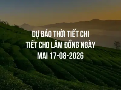 Dự báo thời tiết chi tiết cho Lâm Đồng ngày mai 17-08-2026